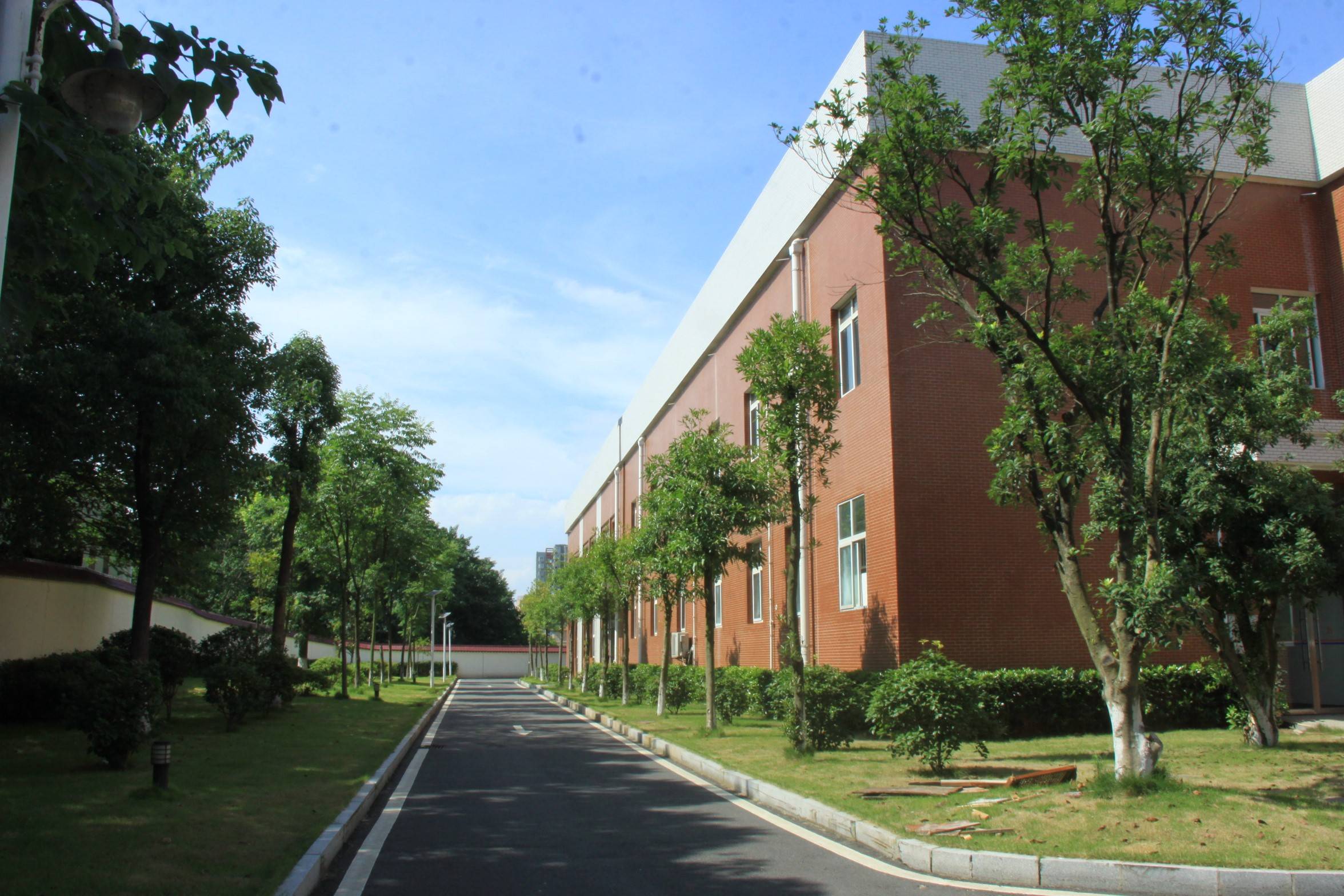 湖南省特教中等专业学校校园图片