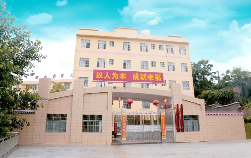 洞口县第一职业中学校园图片