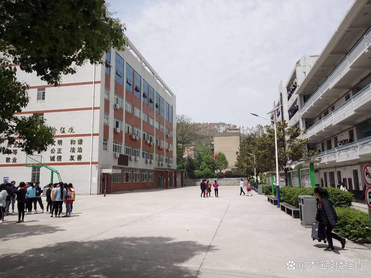 邵阳市女子职业学校校园图片