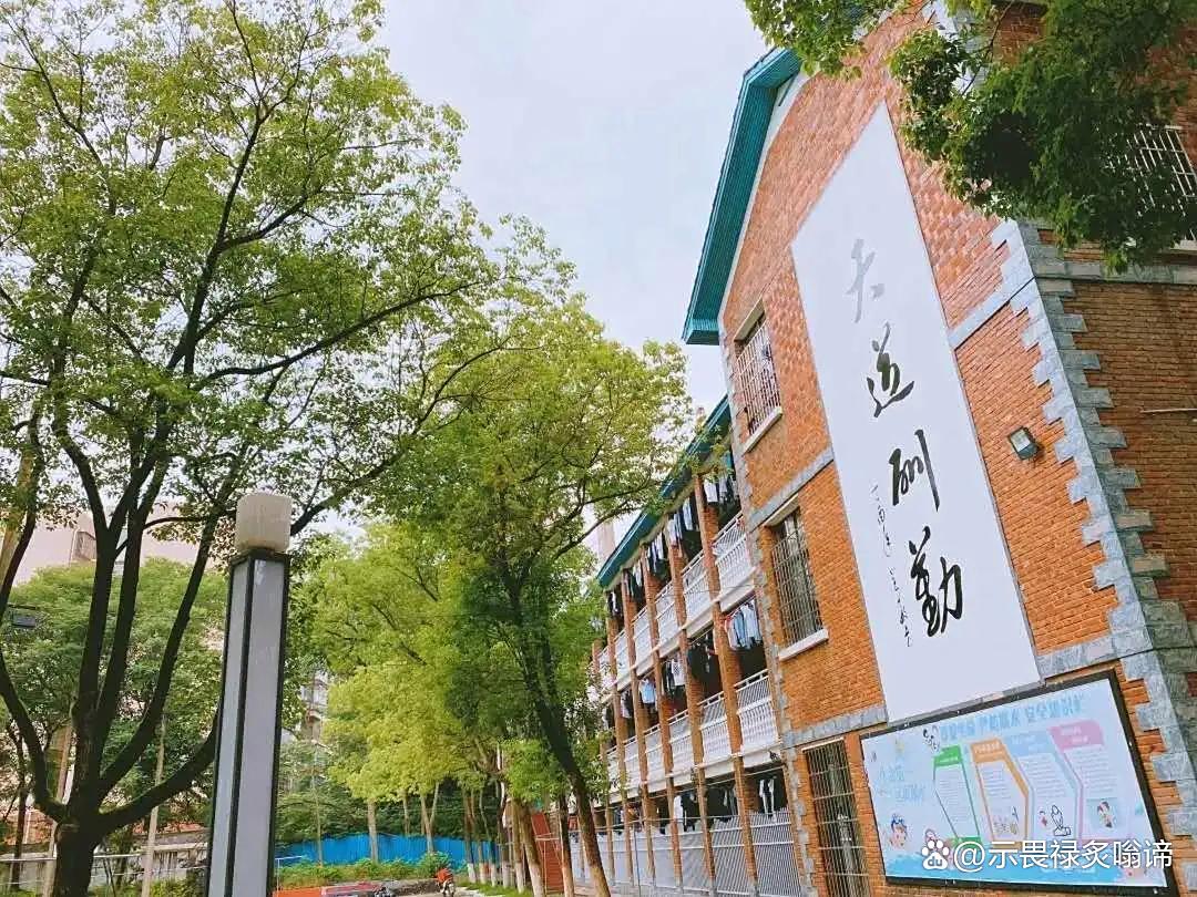 邵阳市通达中等职业技术学校有限公司校园图片