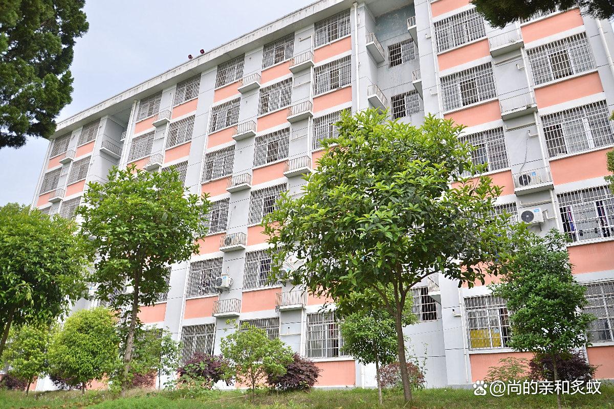 岳阳市君山区职业技术学校校园图片