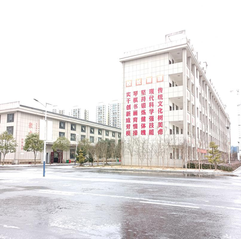桃源创才科技学校校园图片