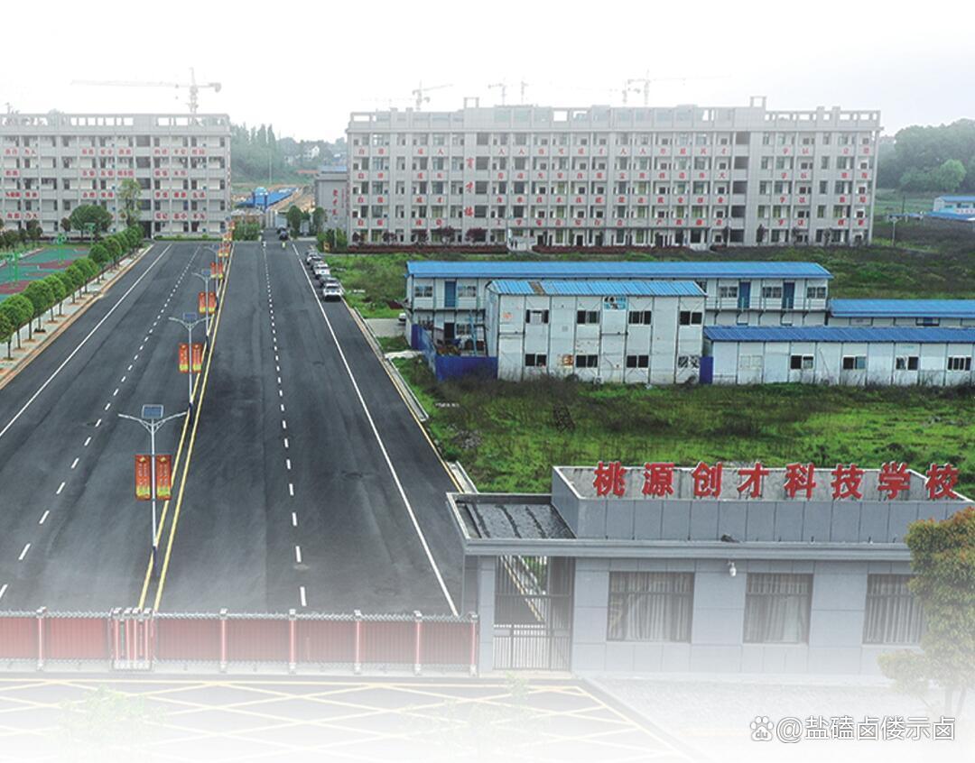 桃源创才科技学校校园图片