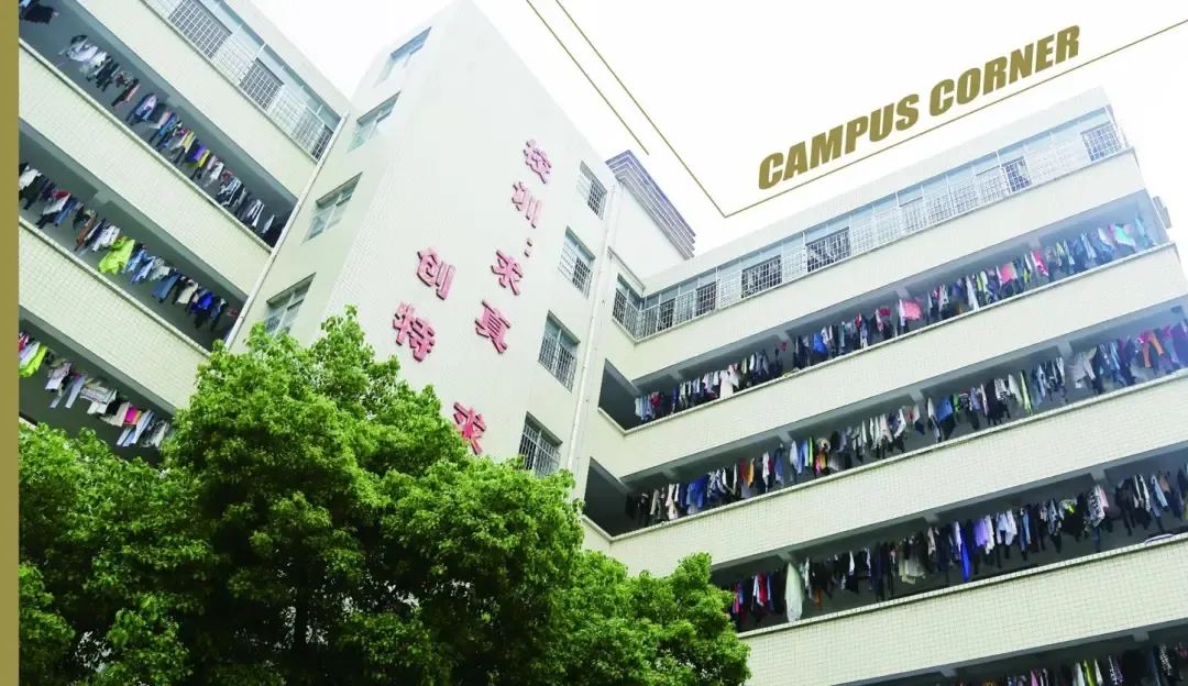 常德中山外语职业学校校园图片