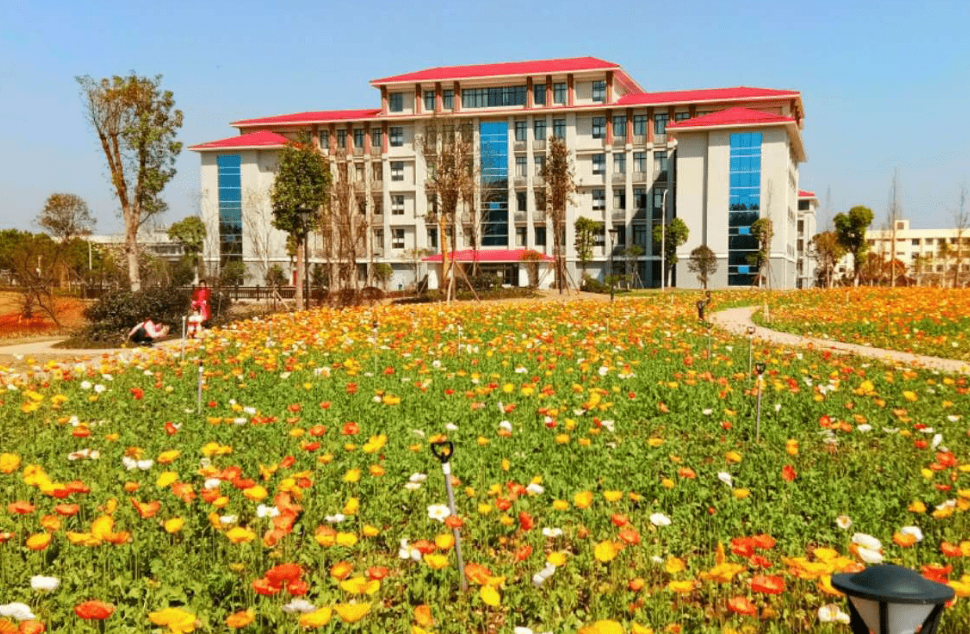衡阳市医卫职业学校 衡阳市医卫职业学校校园图片