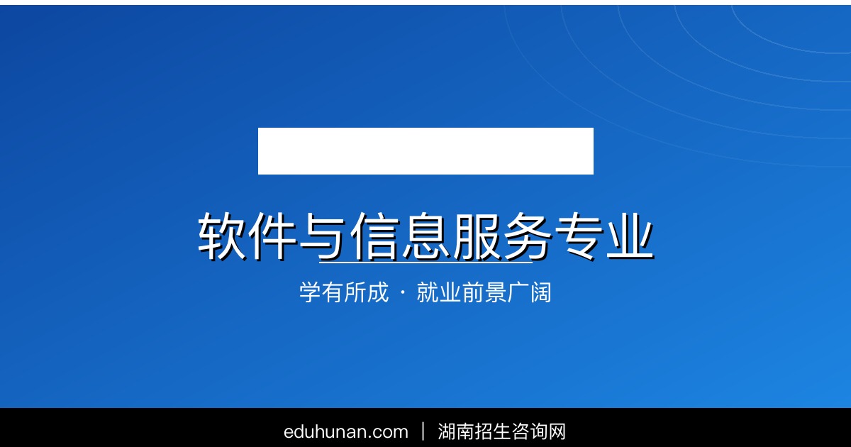 软件与信息服务专业介绍