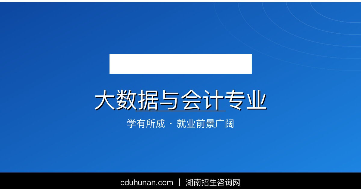 大数据与会计专业介绍